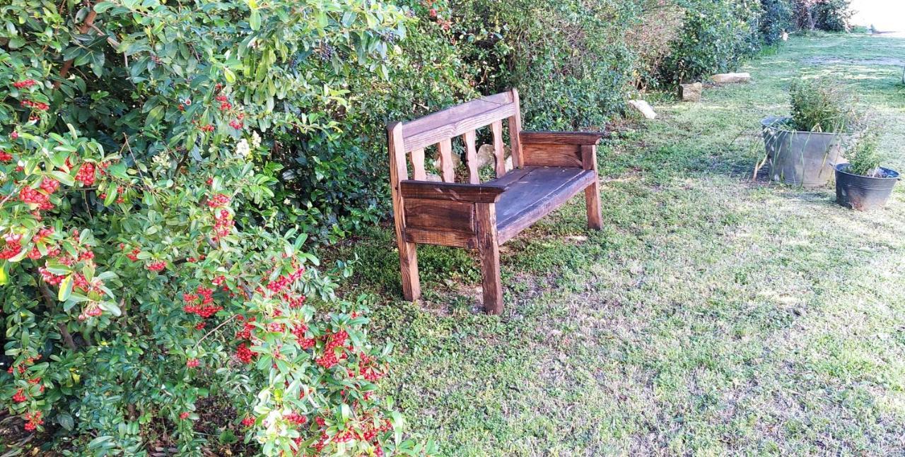 L'Esperluette En Camargue Bed & Breakfast Uchaud Екстериор снимка